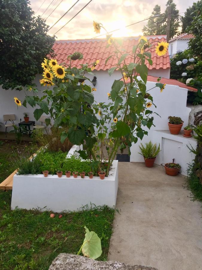 The Azores Homestead - Terceira Santa Barbara  Luaran gambar